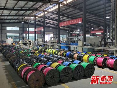 大國重器中的“衡陽制造”①|(zhì)恒飛電纜:“上天入海”彰顯制造實力